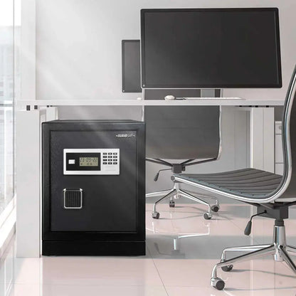 Datasavior Spacious Home Office Safe