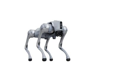 Shopify Collective-Unitree Go2 Pro AI Quadruped Robot Dog 4D LiDAR